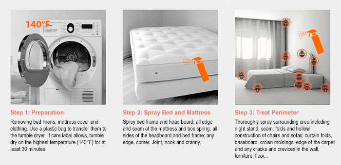 Three Steps to be Bed-Bug-Free
