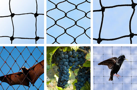 how do get rid of starlings postsstocksvi over blog com how do get rid of starlings postsstocksvi over blog com