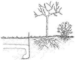 Practical Tips: Build fences Practical Tips: Build fences