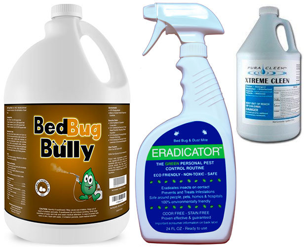 Bed Bug Bully Reviews >> I Want to Know the Best Bed Bug Spray in Stores Bed Bug Bully Reviews >> I Want to Know the Best Bed Bug Spray in Stores
