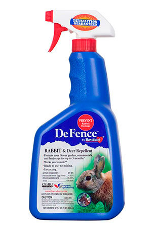 How to Keep Hungry Grazing Rabbits Away Using Efficient Repellents and