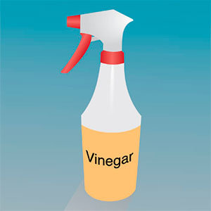 ants vinegar natural rid control remedies ant spray water pestkill mixture wipe cupboards countertops places any down