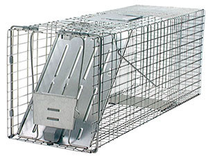 Large Havahart 1-Door Animal Trap