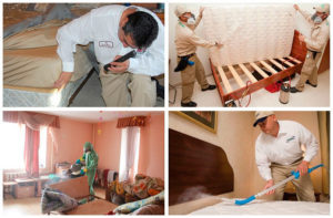 Bed bugs services collage