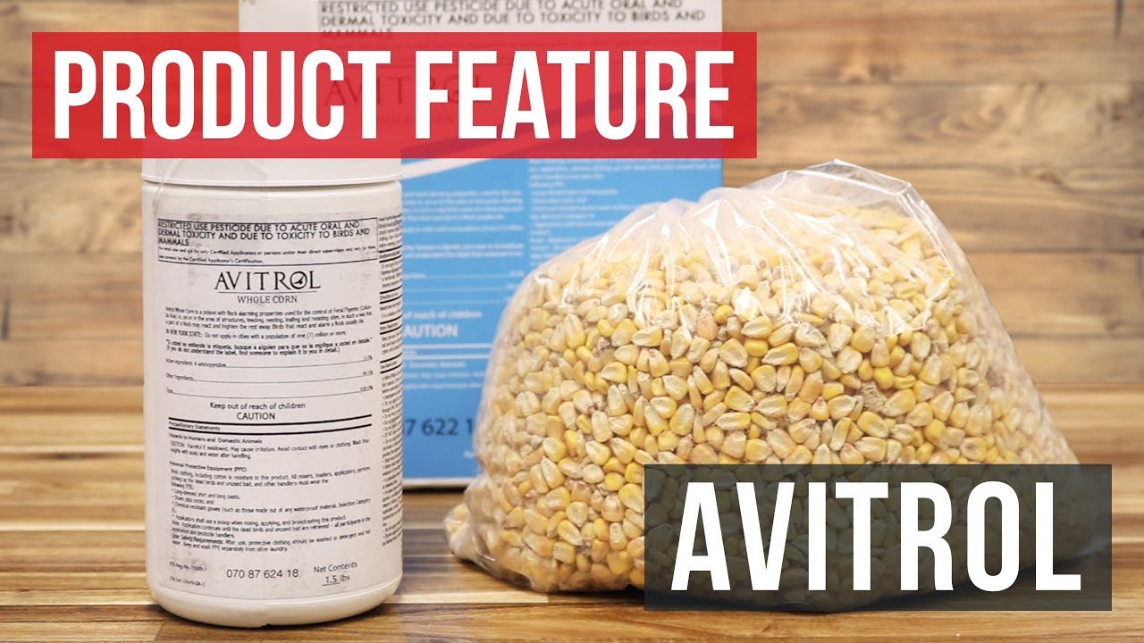 Avitrol: Environmentally Sound Bird Control