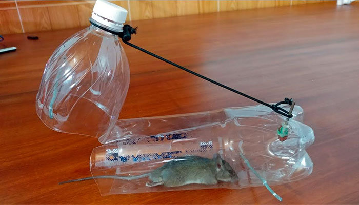 Simple 'No-Kill' Mouse Trap : 3 Steps (with Pictures) - Instructables