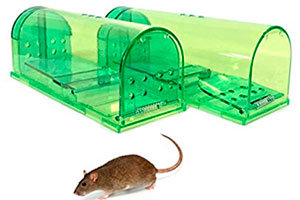 2 Humane mice traps