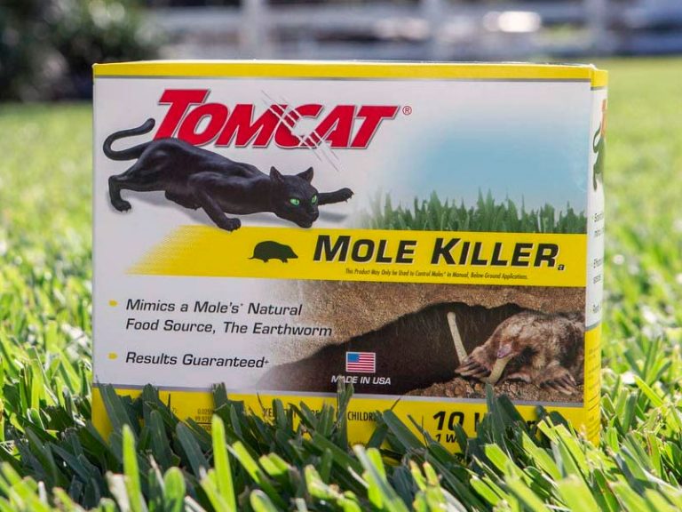 3 Best Mole Poison Products (*2022 Review*) and How to Kill Moles