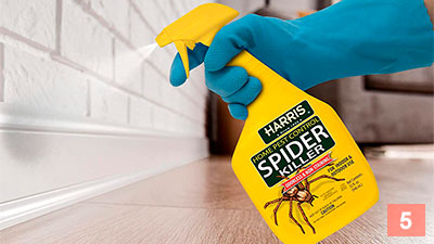 Step 5: Insecticides