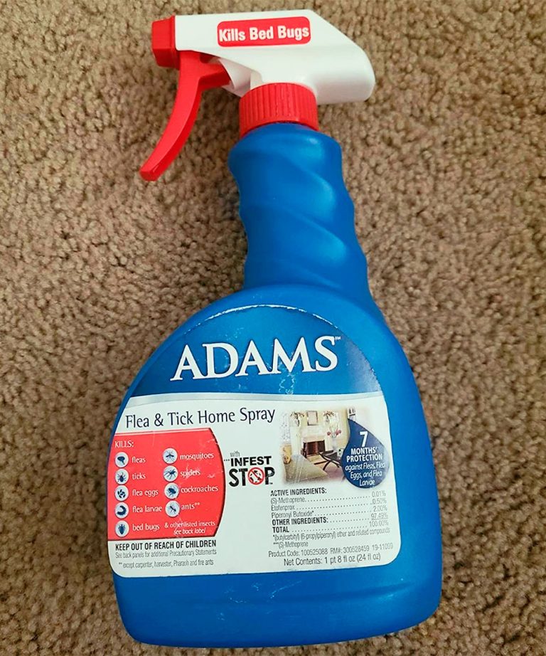 5 Best Flea Sprays for Home and Pets That Actually Work (2022 Review)