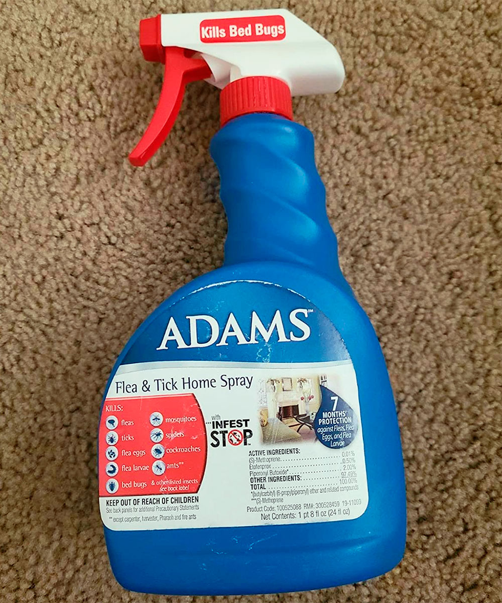 5 Best Flea Sprays for Home and Pets That Actually Work (2022 Review)