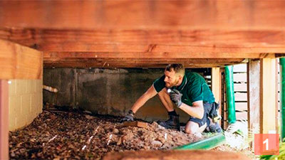 Step 1: Inspect your home for any signs of termites