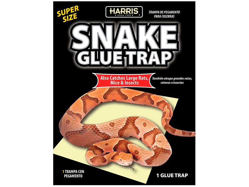 3 Best Snake Traps That Work in 2024