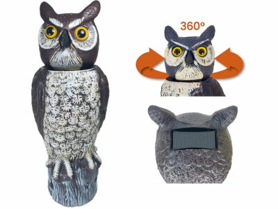 Head-Rotating Owl