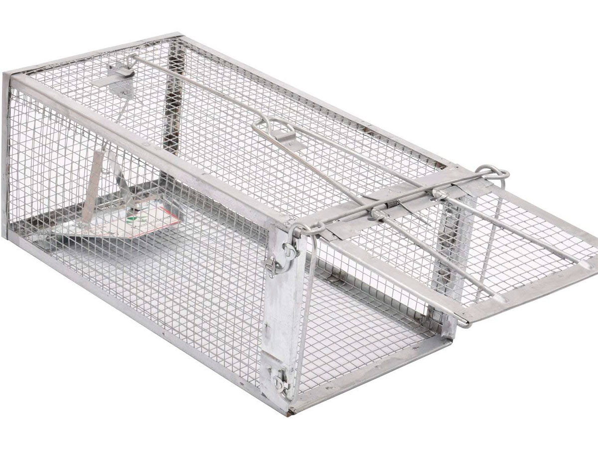 7 Best Chipmunk Traps [*2023 UPDATED*]: Review & Buyer's Guide