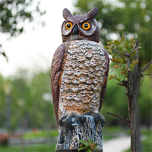 HiAnifri Garden Owl Decoy