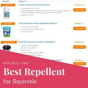 Best Squirrel Repellent Chart