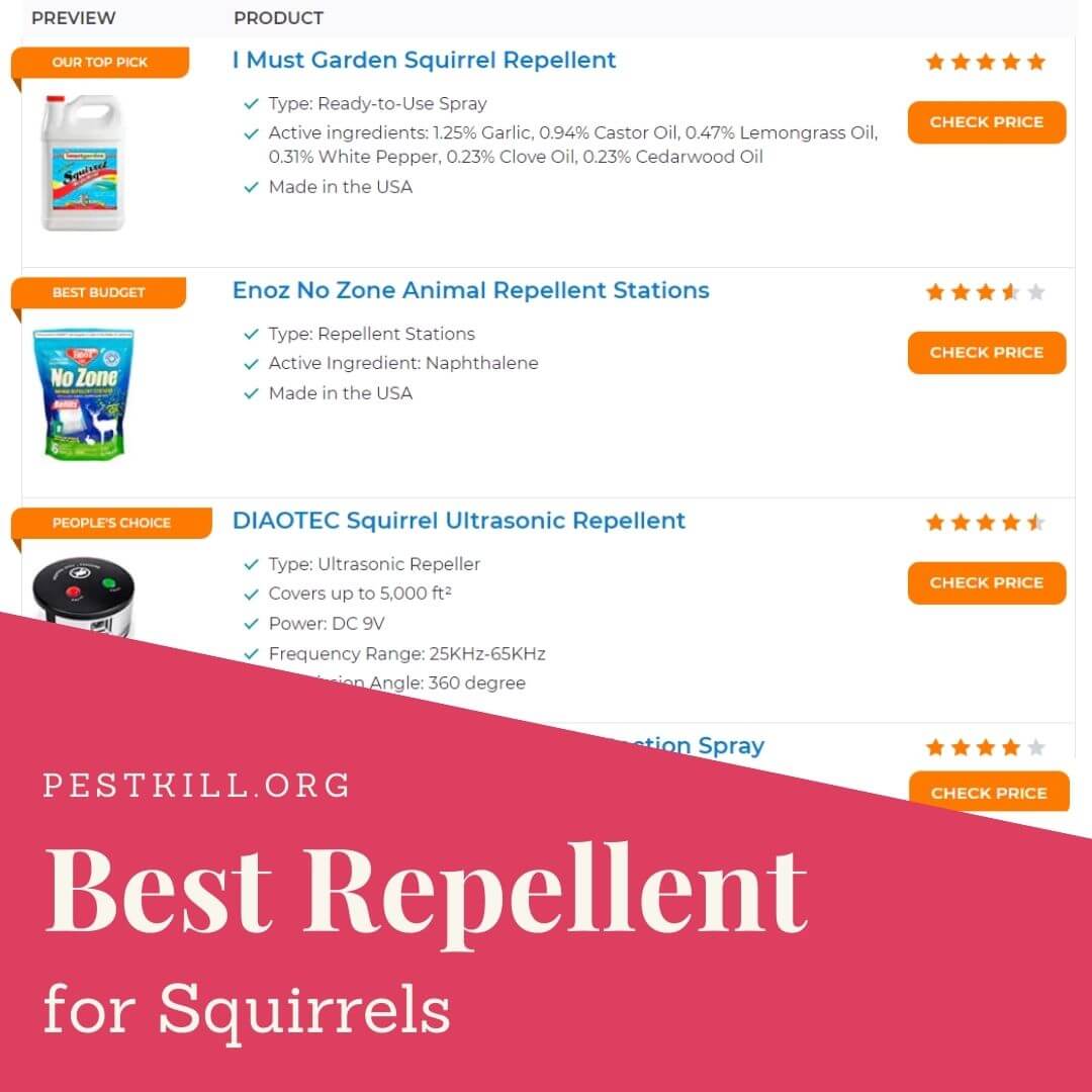 Best Squirrel Repellent Chart