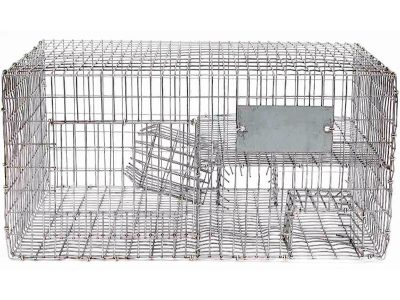 sparrow trap with two chambers 8 in. x 12 in. x 16 in. 