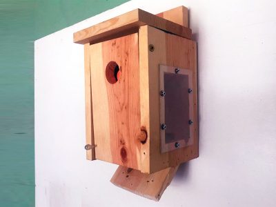 Sparrow Birdhouse Trap with Trap Door
