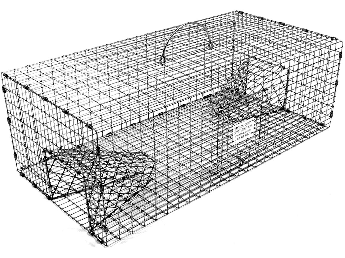 Tomahawk Rigid Double Door Sparrow Trap review