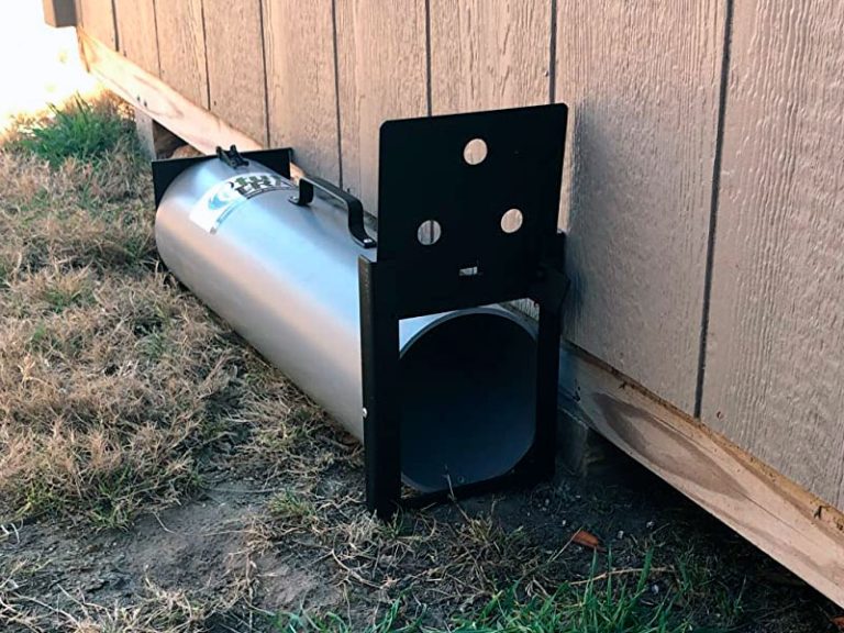 How to Get Rid of Skunks 5 Quick and Effective Methods in 2023