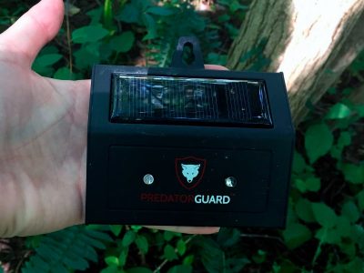 PREDATORGUARD Solar-Powered Lighting Deterrent