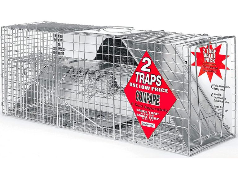 3 Best Rabbit Traps (*2024 Review*) Humane or Lethal Rabbit Removal?