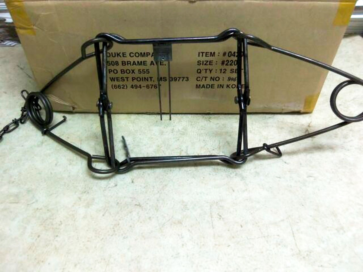 Raccoon Poison and Methods of Killing