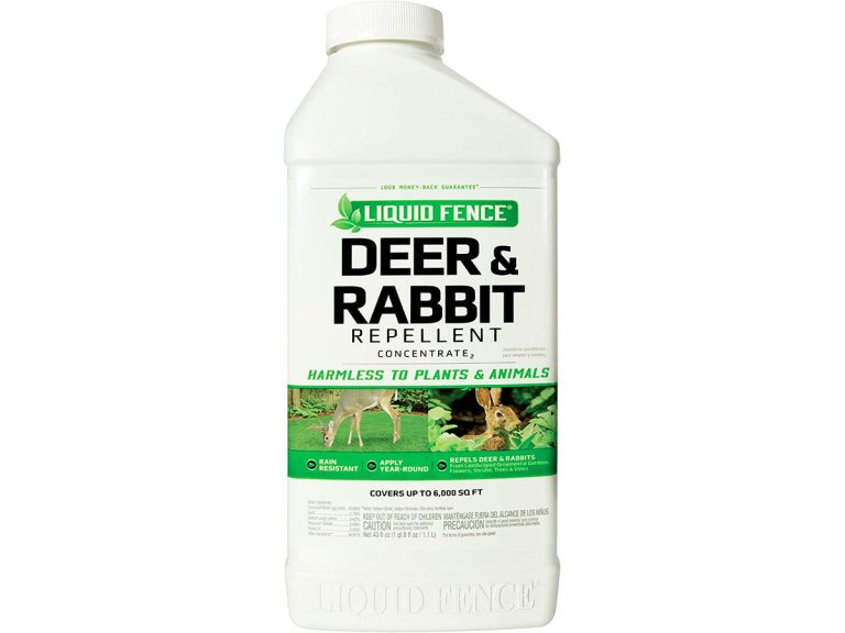 7 Best Rabbit Repellent and Deterrent Options [*2024 UPDATED*]