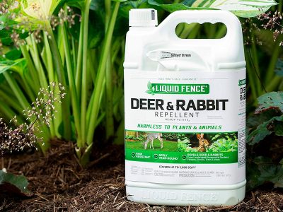 Liquid Fence Deer & Rabbit Repellent Ready to Use Spray