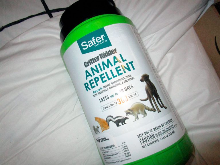10 Best Skunk Repellent Products and Deterrent Ideas (*2023 UPDATED*)
