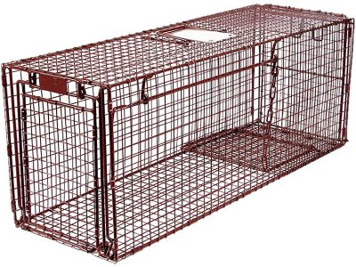 eXuby Large Cat Trap for Stray / Feral Cats - 31x12x13 in - Safe