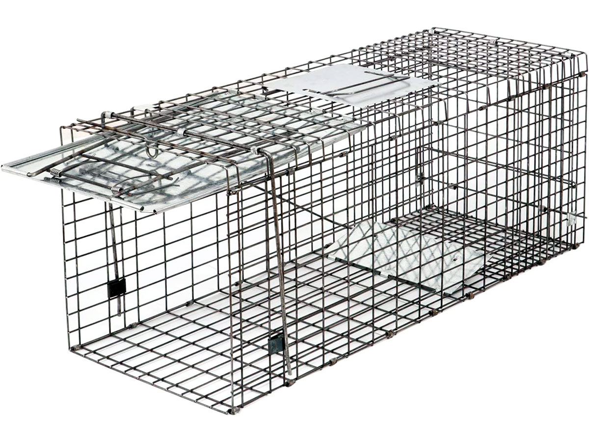 3 Best Beaver Traps [*2024 UPDATED*]: Review & Buyer's Guide