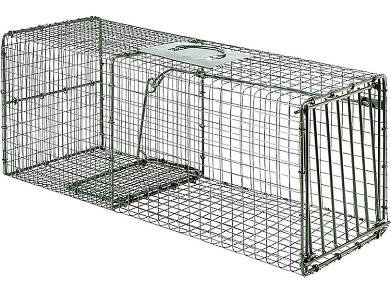 5 Best Groundhog Traps [*2024 UPDATED*]: Review & Buyer's Guide