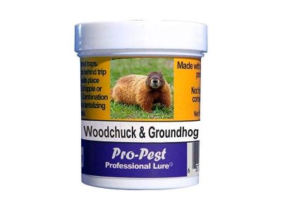 Groundhog bait for traps