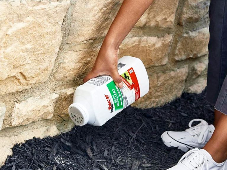 Best Rat Repellent for Garden Top 5 Options in 2025 That Actually Work
