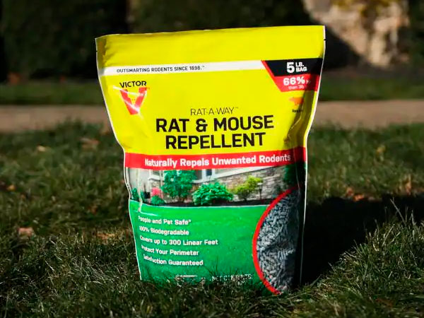 Best Rat Repellent For Garden: Top 5 Options In 2024 That Actually Work