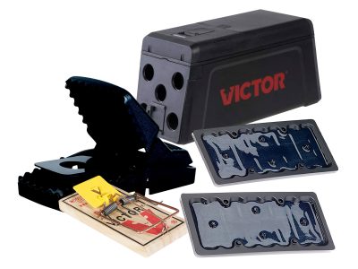 Best rat traps - 3 common types