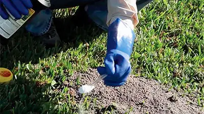 Ants insecticide granules