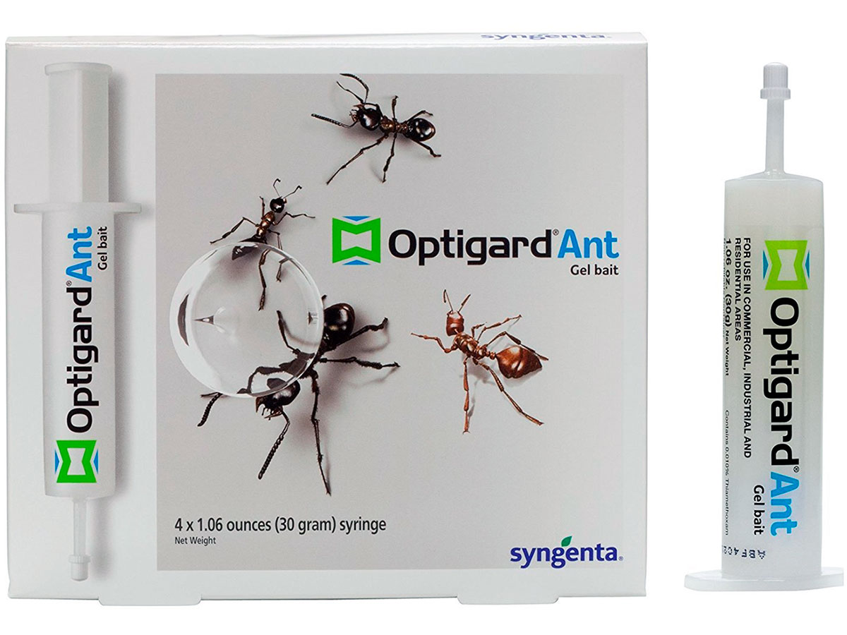 9 Best Pet Safe Ant Killer Spray Products 2024 UPDATED   Optigard 