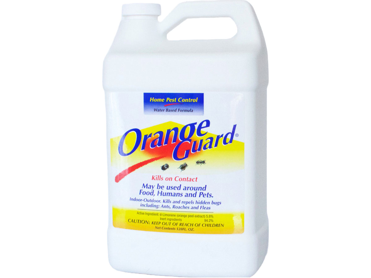 9 Best Pet Safe Ant Killer & Spray Products (2024 UPDATED)