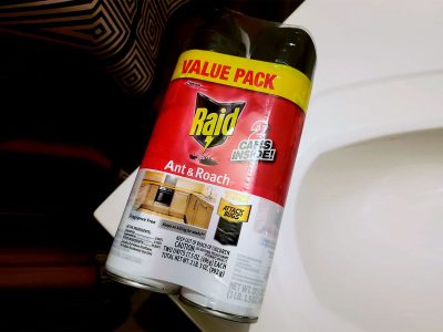 Raid Ant & Roach Killer Spray Value Pack