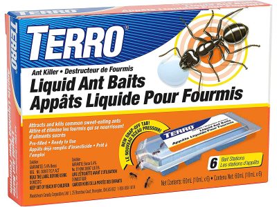 are terro ant traps safe for dogs