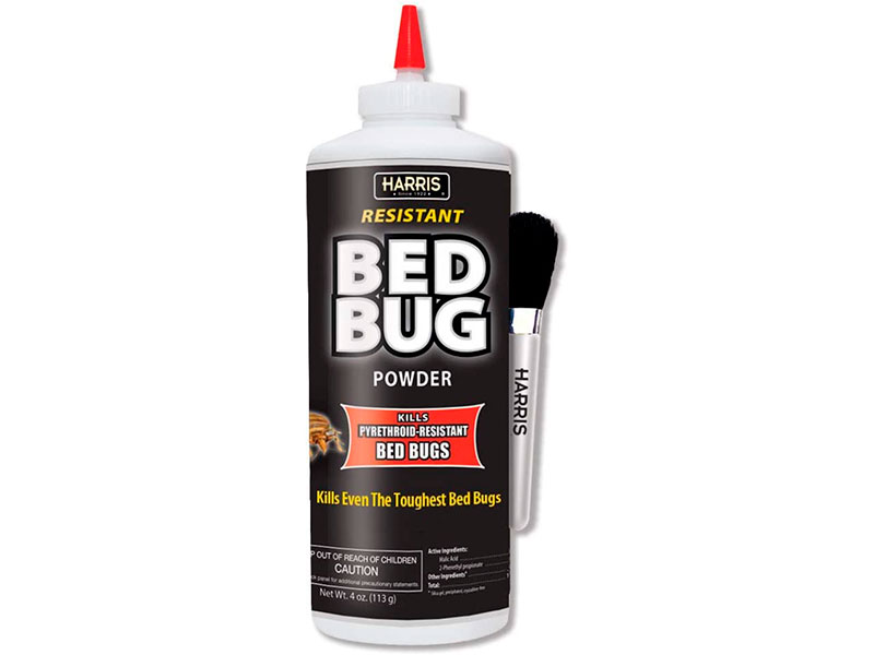 7 Best Bed Bug Powder Products [*2023 Edition*] Expert Review