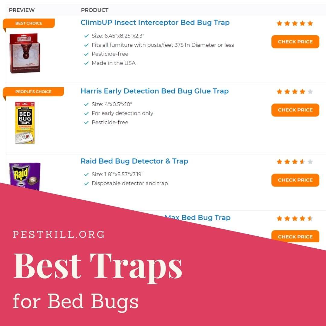 Best Bed Bug Traps Infographic