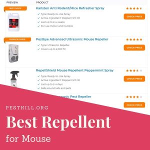 Best Mouse Repellent Products