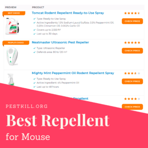 Best Mouse Repellent Infographic