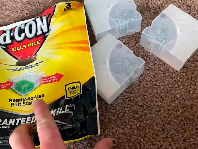 7 Best Mouse Poison Products (*2023 UPDATED*) Expert Review
