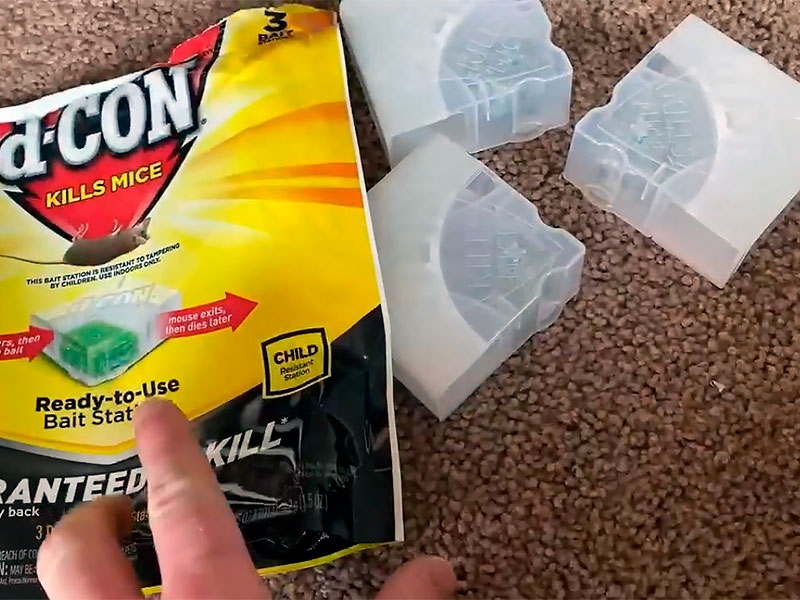 7 Best Mouse Poison Products (*2025 UPDATED*) Expert Review